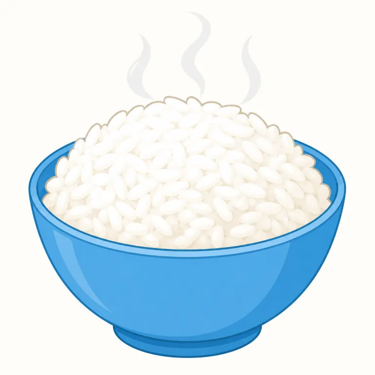 rice（米・名詞）の覚え方イラスト — この意味では rice を「料理になる前の米粒の集合」として覚える