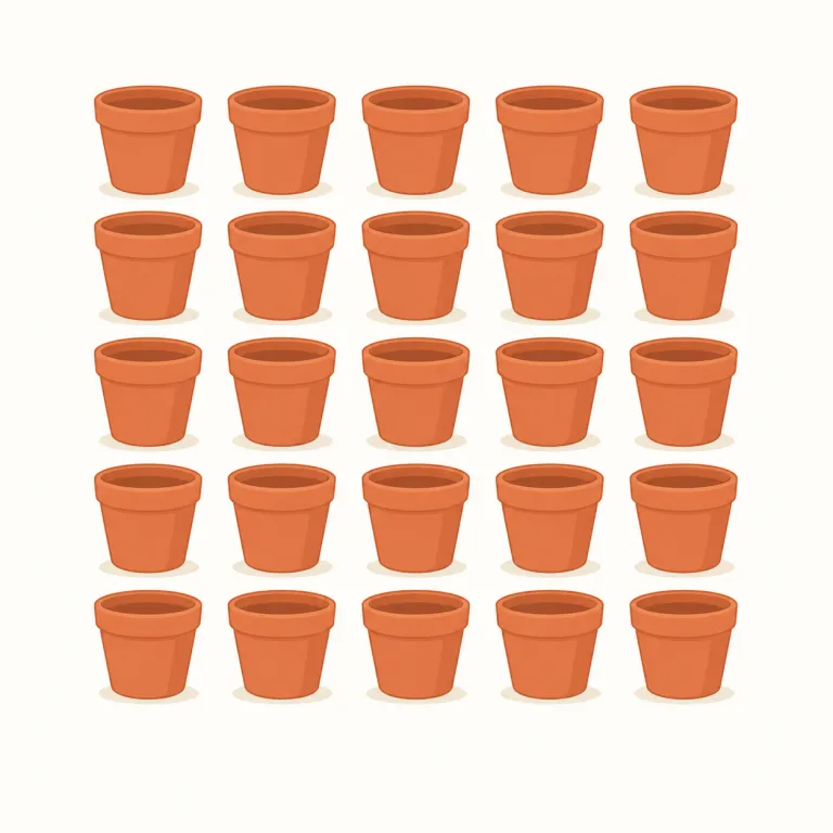 sameness（単調さ、画一性・noun）の覚え方イラスト