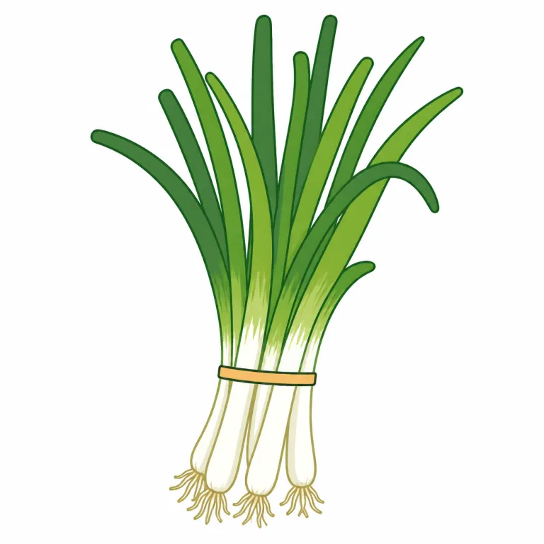 scallion（ねぎ・noun）の覚え方イラスト