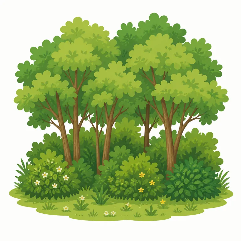 shaw（小さな林、やぶ・名詞）の覚え方イラスト — shaw は日常語ではなく、まず「wood / grove / thicket のかなりローカルで古風な言い換え」として覚えると整理しやすいです