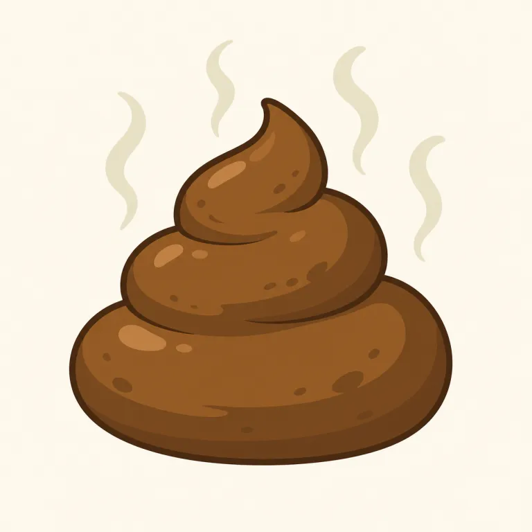 shit（糞・名詞）の覚え方イラスト — 名詞の中心は、比喩ではなく目に見える排泄物です