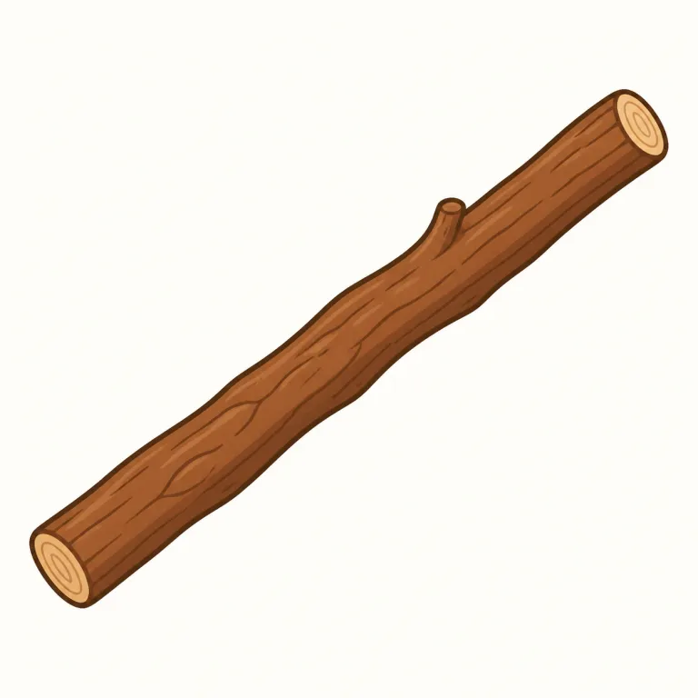 stick（棒・名詞）の覚え方イラスト — 名詞の stick は、整った道具名というより「一本の細長い硬い物」という形のイメージで覚えると安定します