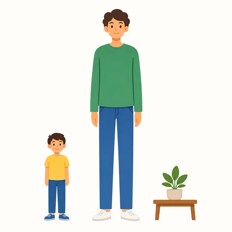 tall（（高さ・身長が）高い、背が高い・形容詞）の覚え方イラスト — tall は「上に長い高さ」を言う語と覚えると定着しやすい