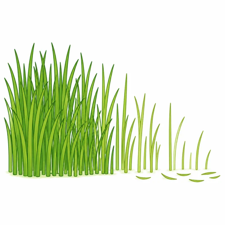 thinningの覚え方イラスト