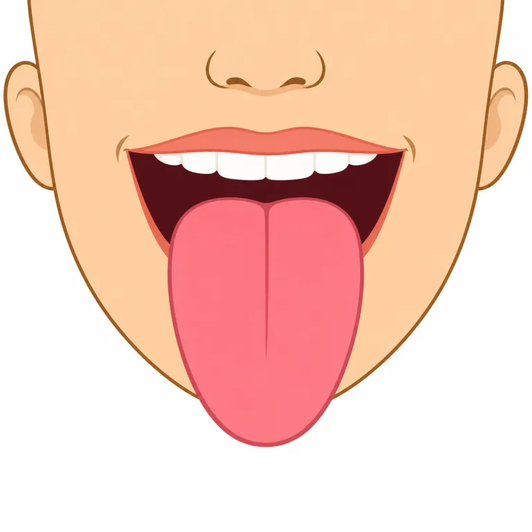 tongue（舌・名詞）の覚え方イラスト — tongue は体の部位としての「舌」を指します