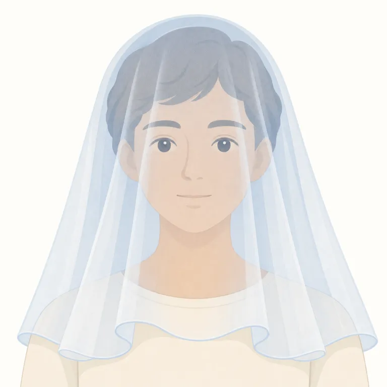 veil（ベール・名詞）の覚え方イラスト — 名詞の veil は、まず wedding veil の花嫁が顔の前に垂らす軽い布を思い浮かべると定着しやすい