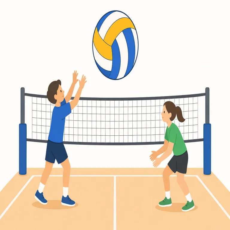 volleyball（バレーボール・名詞）の覚え方イラスト