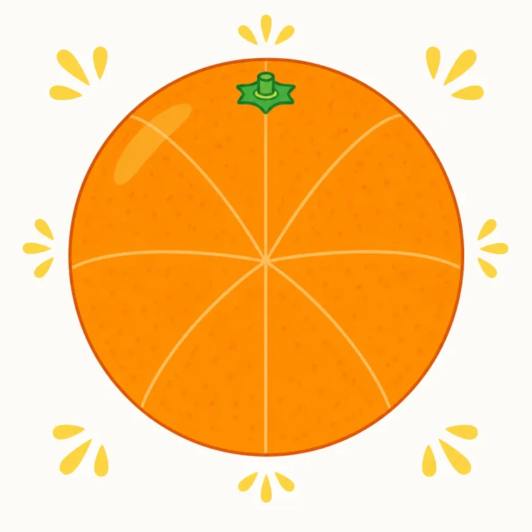 whole（全体の、すべての、全体）の覚え方イラスト — whole は all と近いですが、ただ数が全部というより「部分に分かれず、まとまりとして全部」を意識すると覚えやすい語です