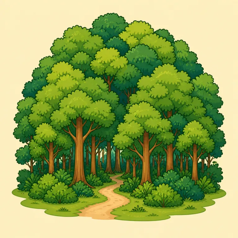wood（森、林・noun）の覚え方イラスト