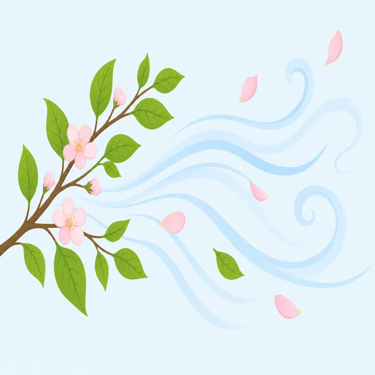 zephyr（そよ風・名詞）の覚え方イラスト — まず breeze を基準にすると覚えやすい語です